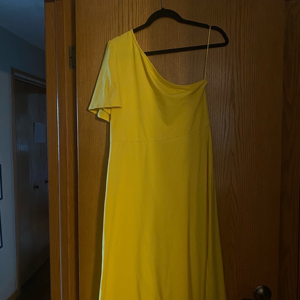 One flutter sleeved dress
